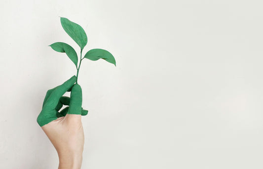 The Conscious Consumer's Compass - AYA Natural Skincare
