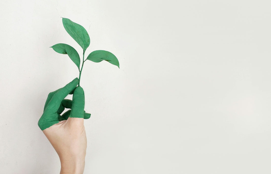 The Conscious Consumer's Compass - AYA Natural Skincare